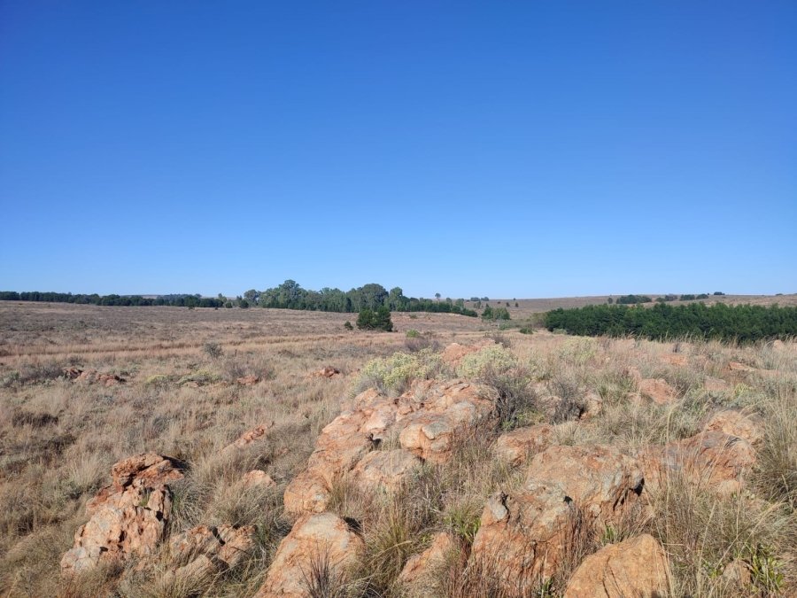 4 Bedroom Property for Sale in Lichtenburg North West